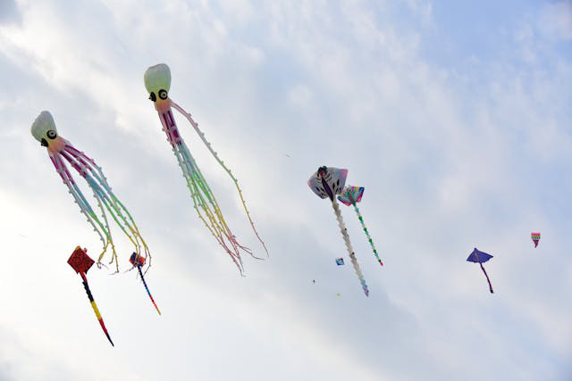 Ahmedabad Uttarayan