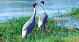 Ahmedabad Traveling Places