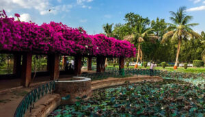 Ahmedabad Traveling Places