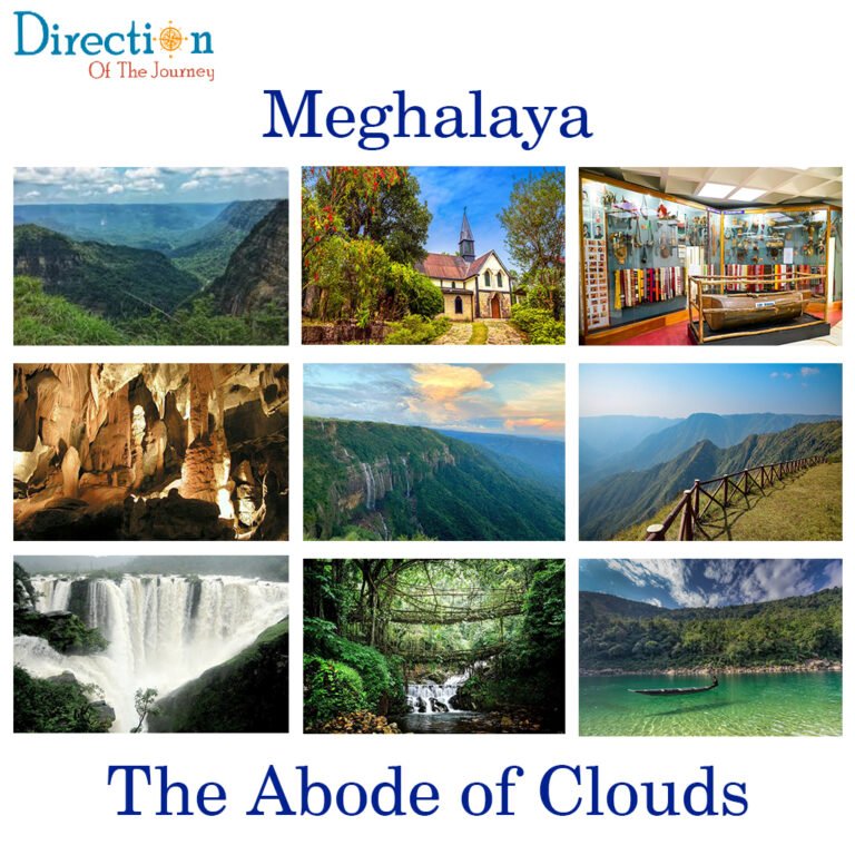Double Decker Living Root Bridge in Meghalaya surrounded by lush green forests during the monsoon season.