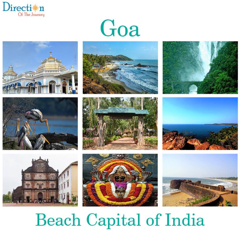 Beautiful tropical beach with palm trees and Arabian Sea coastline in Goa India